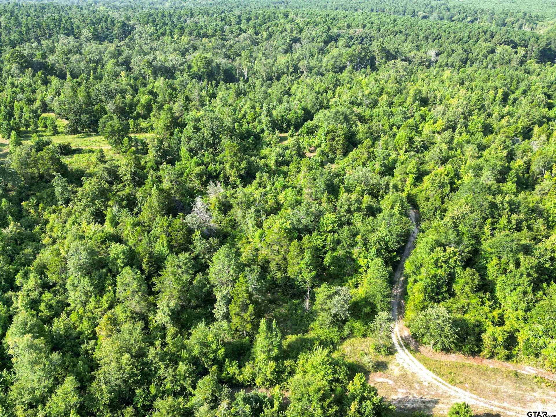 77 acres in Upshur County - photo 29
