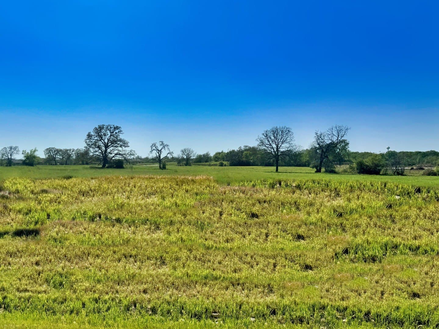 1.51 acres in Grimes County