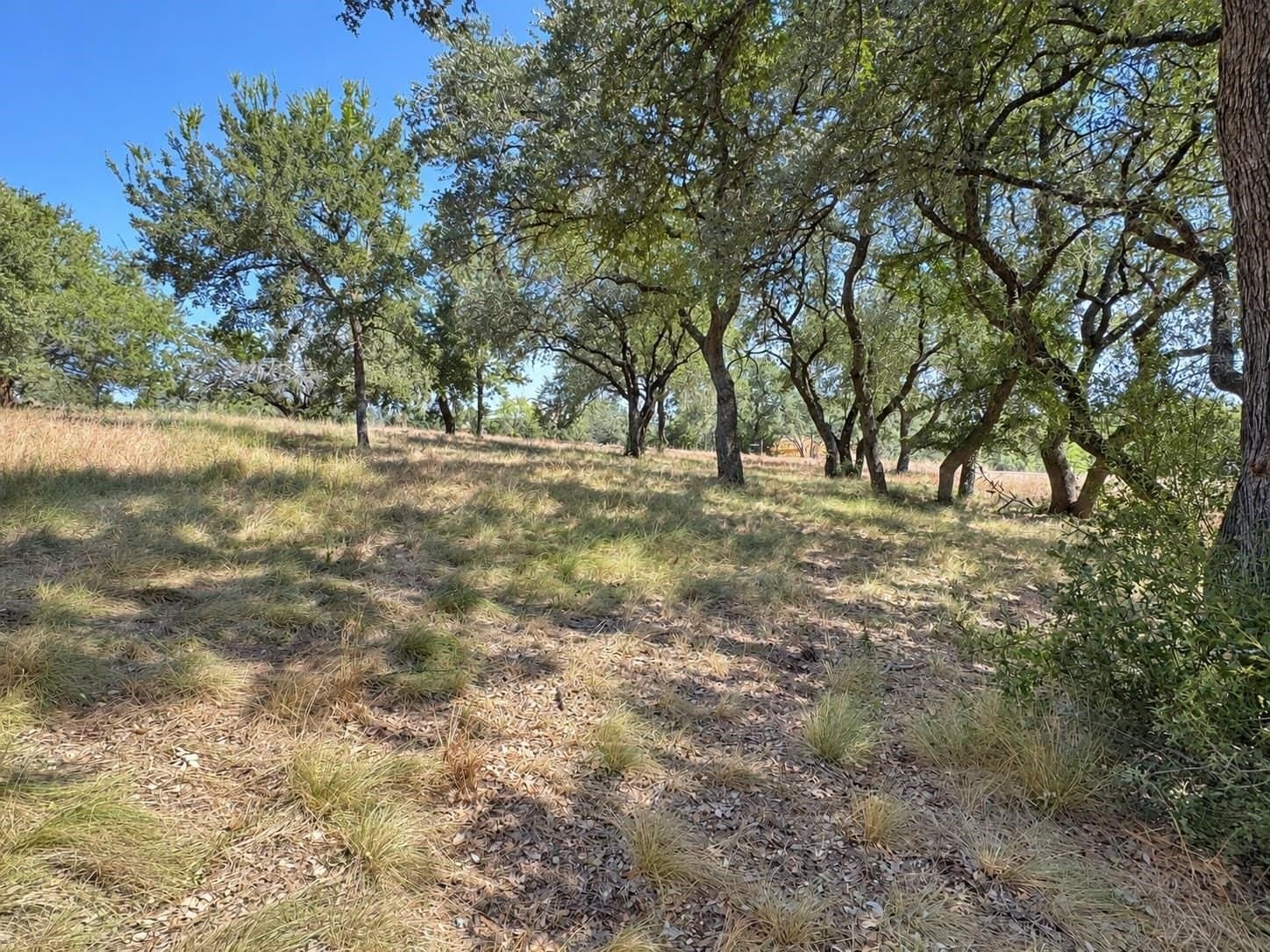 0.23 acres in Llano County - photo 14