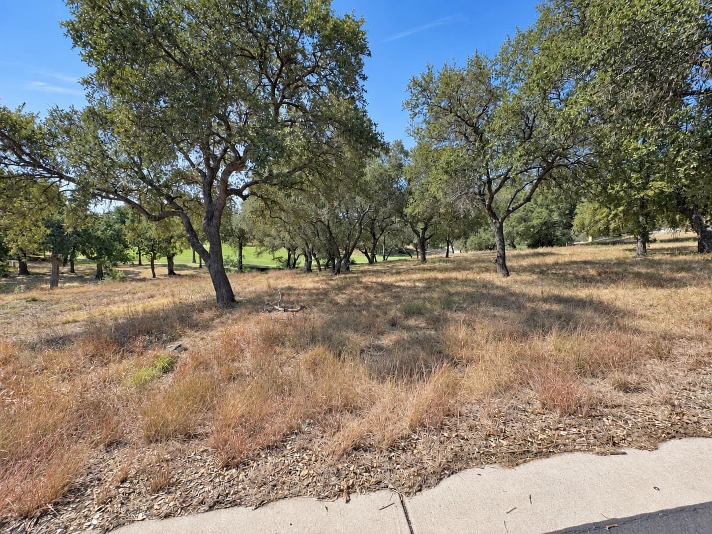 0.23 acres in Llano County - photo 7
