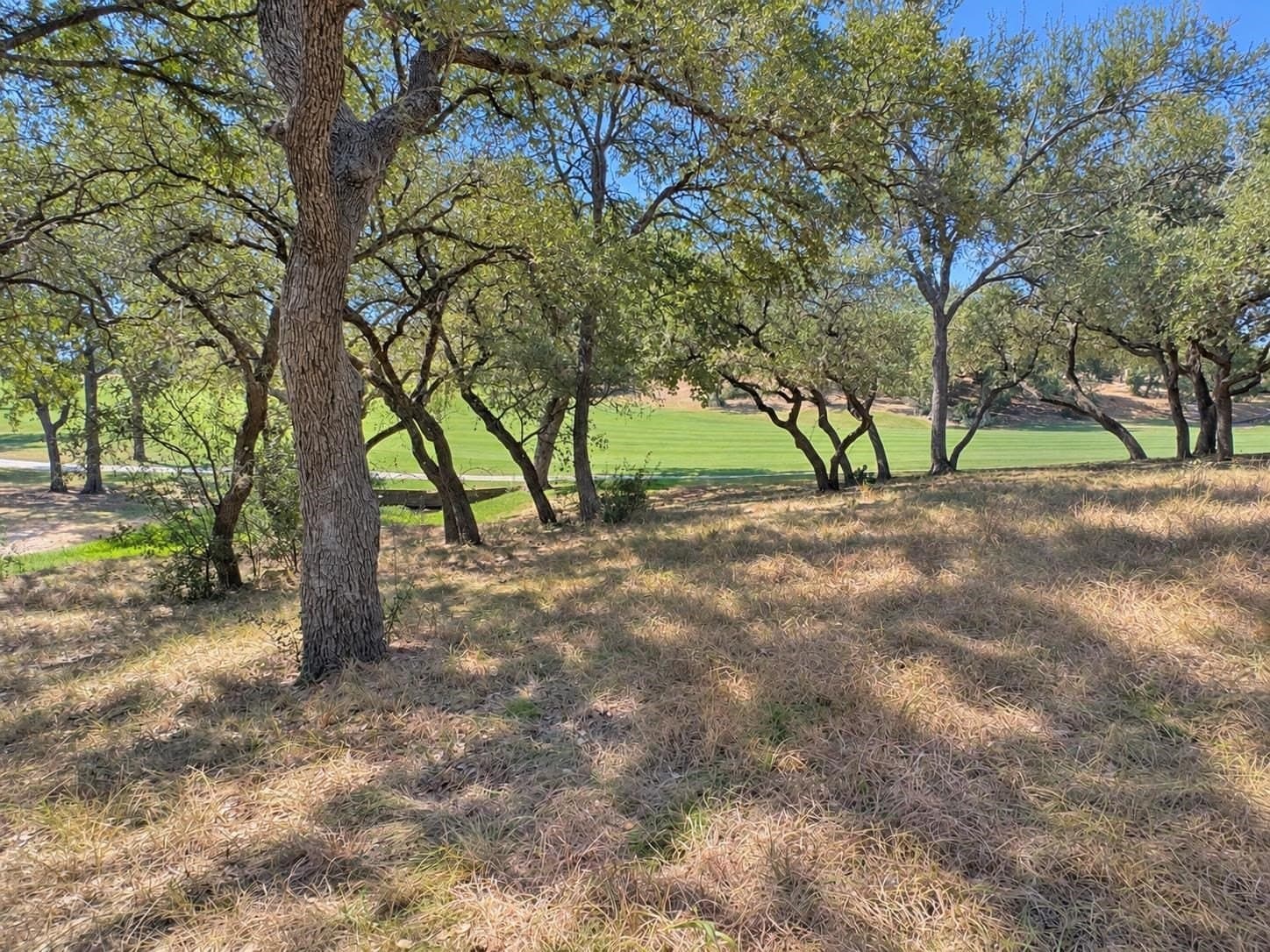 0.23 acres in Llano County - photo 10