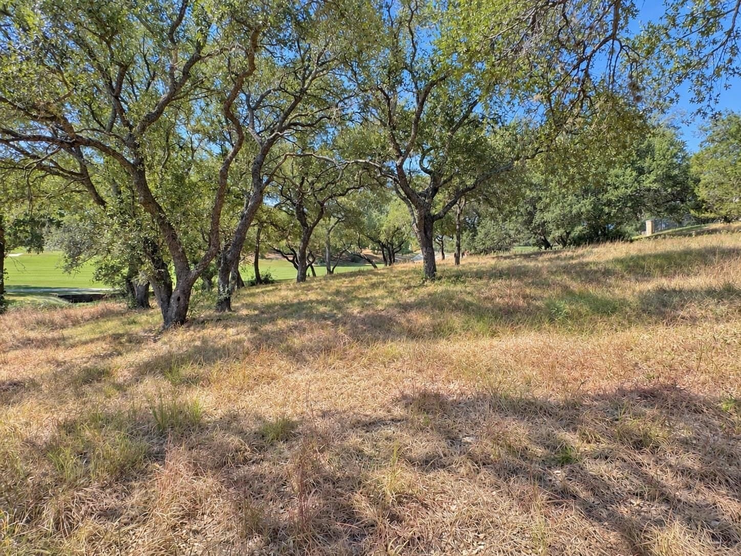 0.23 acres in Llano County - photo 9