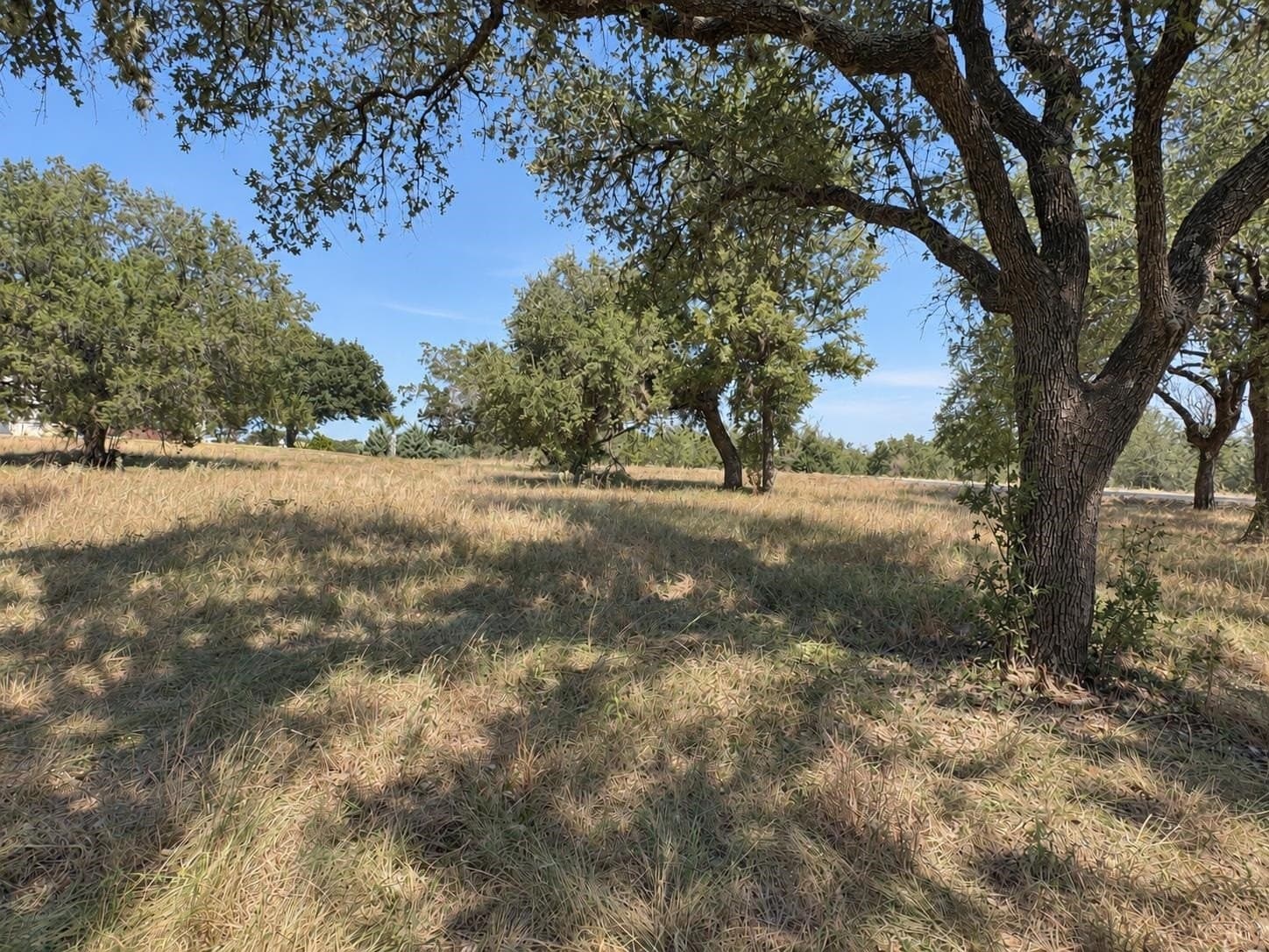 0.23 acres in Llano County - photo 15