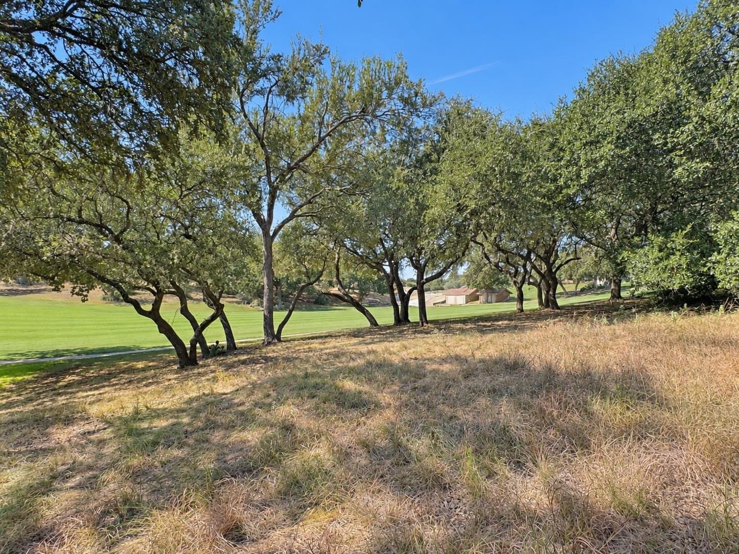 0.23 acres in Llano County - photo 13
