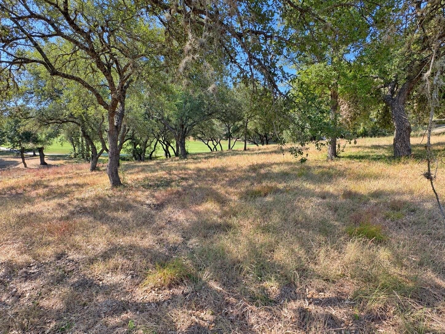 0.23 acres in Llano County - photo 8