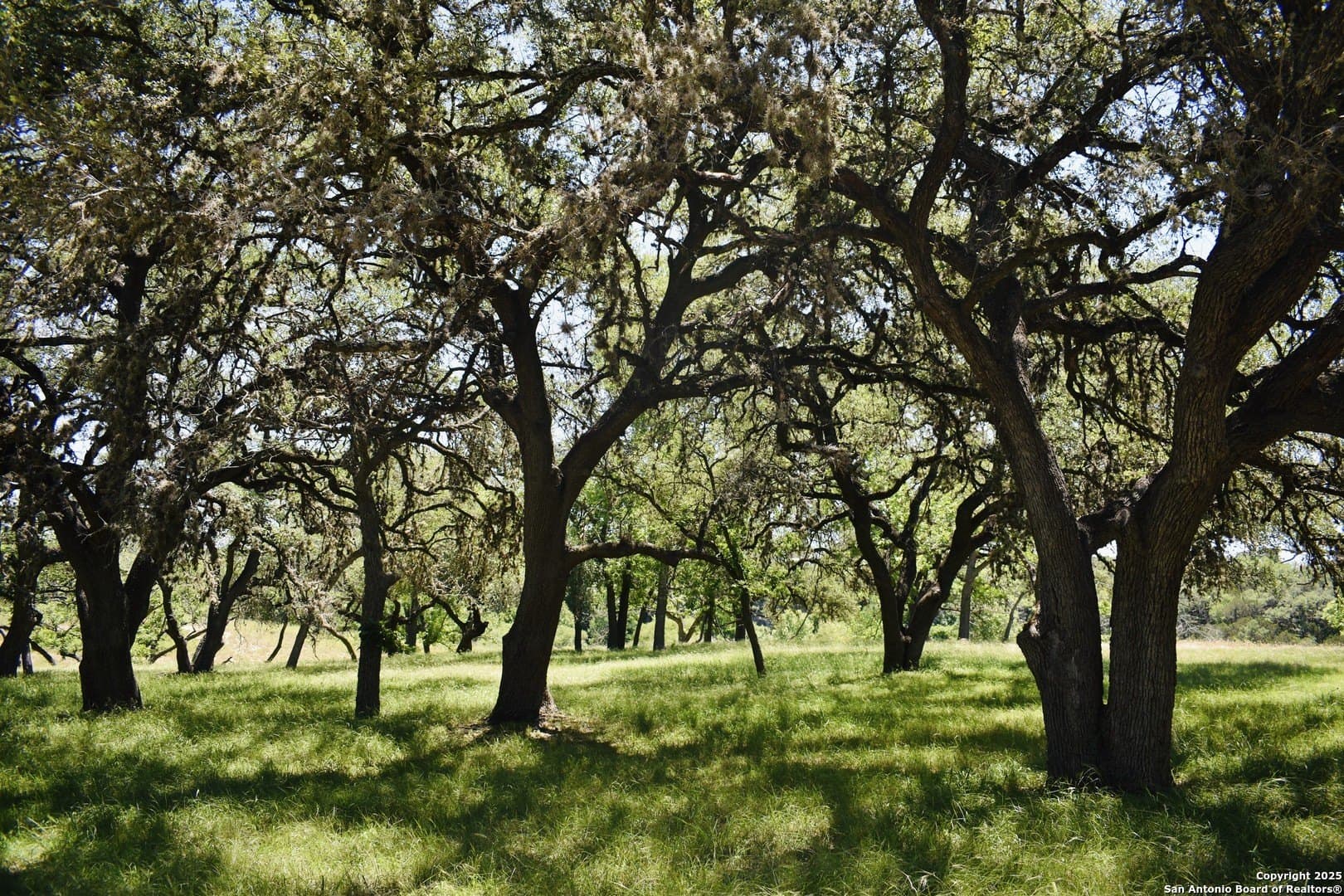 5.06 acres in Bandera County - photo 22