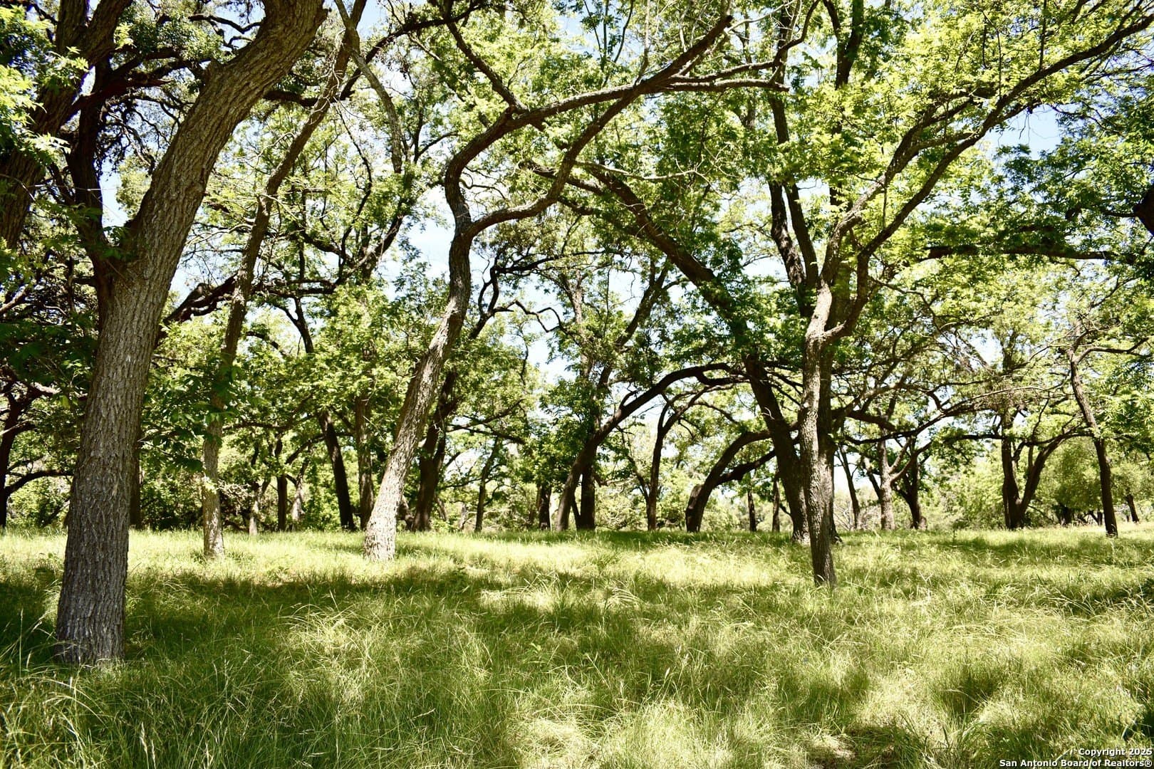 5.06 acres in Bandera County - photo 19