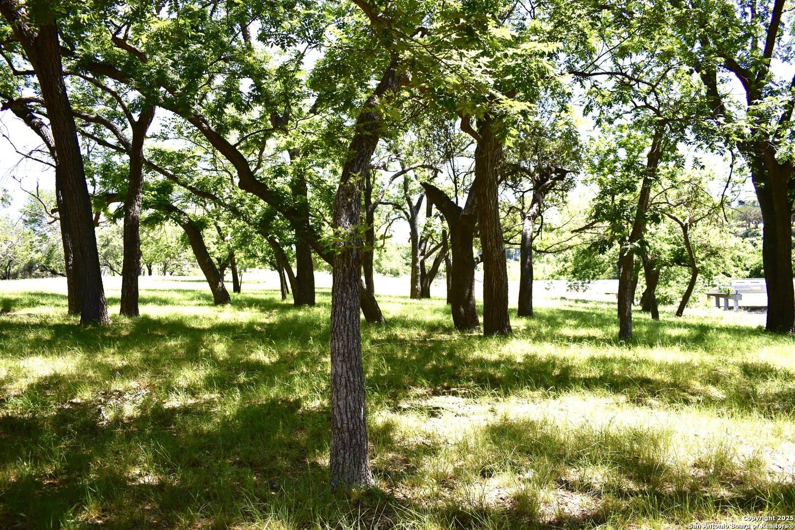 5.06 acres in Bandera County - photo 13