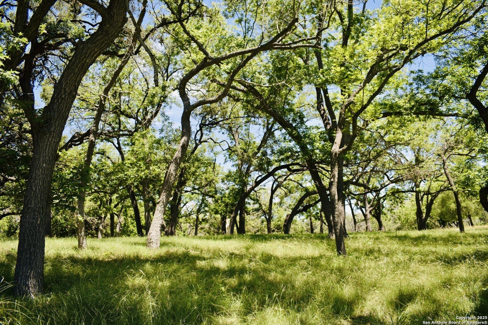 5.06 acres in Bandera County - photo 17