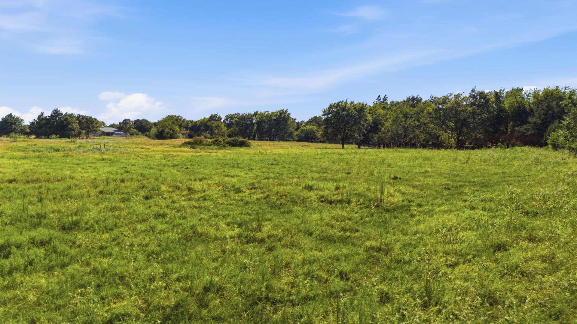 10.25 acres in Grayson County - photo 24