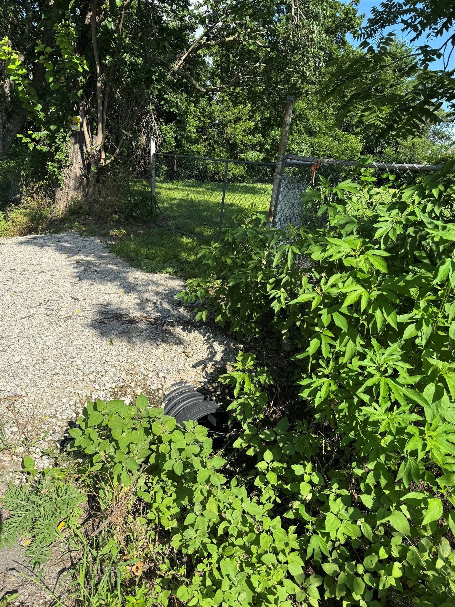 0.23 acres in Fannin County - photo 5