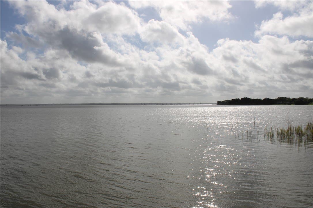 1.8 acres in Live Oak County - photo 24