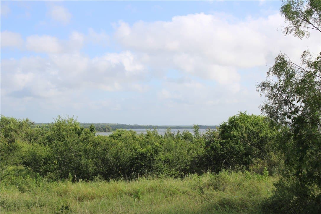 1.8 acres in Live Oak County gallery image 4