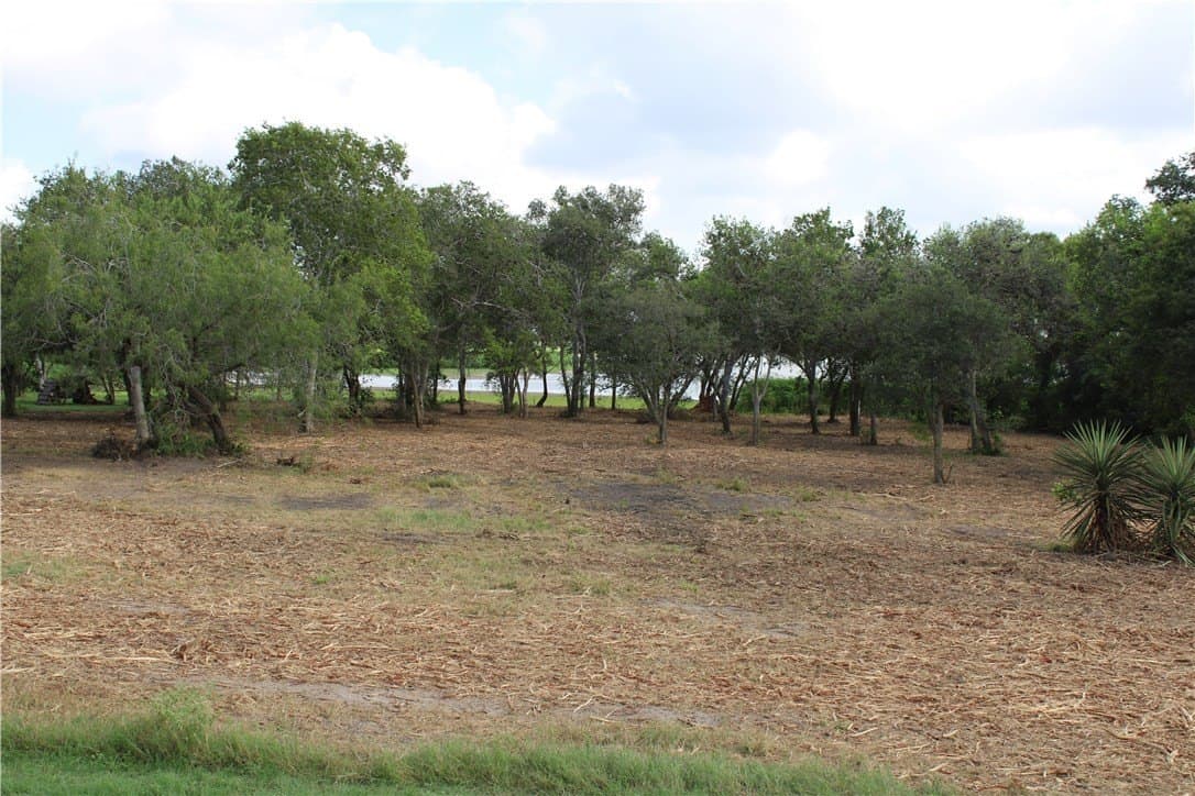 1.8 acres in Live Oak County - photo 11