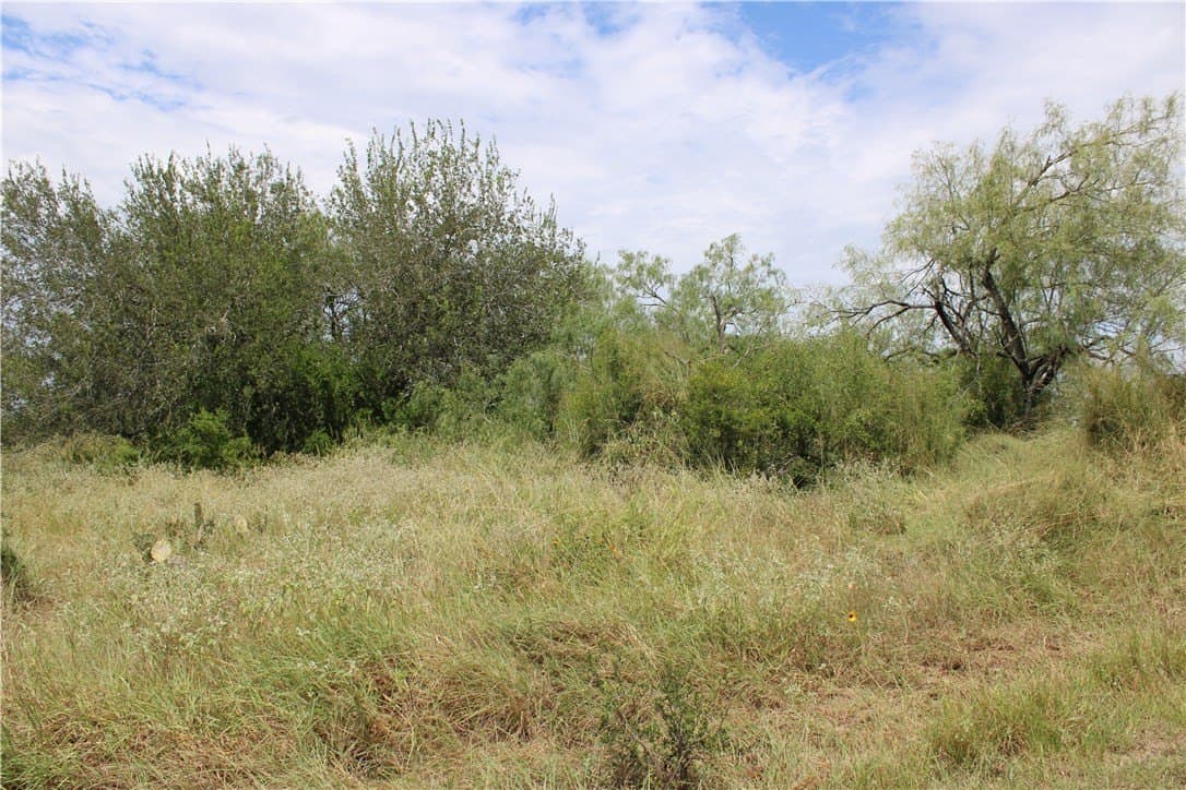 1.8 acres in Live Oak County - photo 6