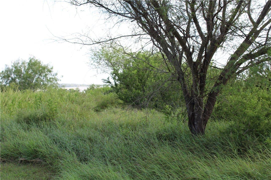 1.8 acres in Live Oak County featured view