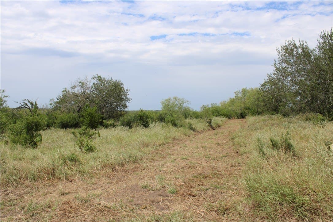 1.8 acres in Live Oak County gallery image 3