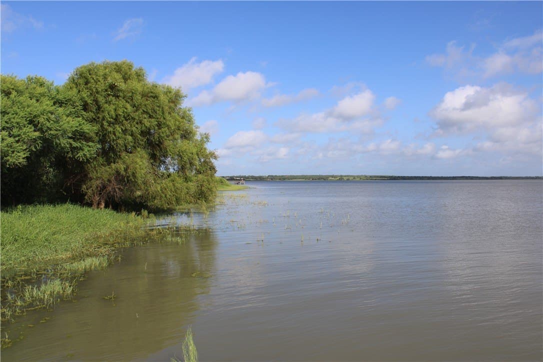 1.8 acres in Live Oak County - photo 22