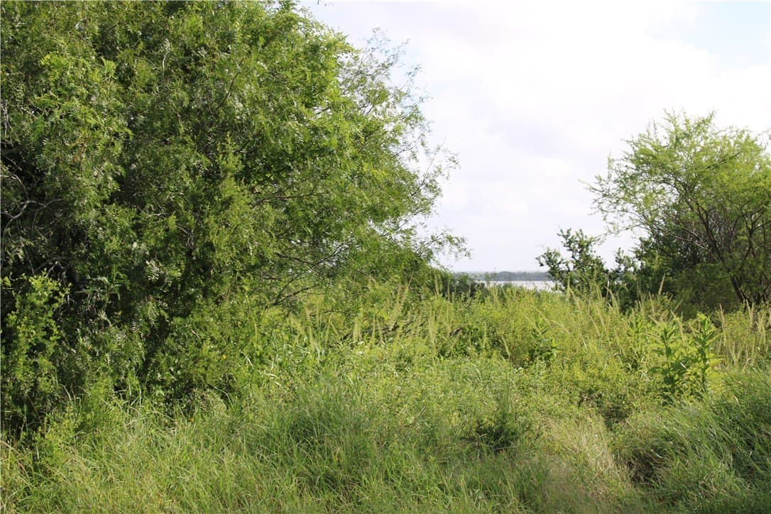 1.8 acres in Live Oak County - photo 7