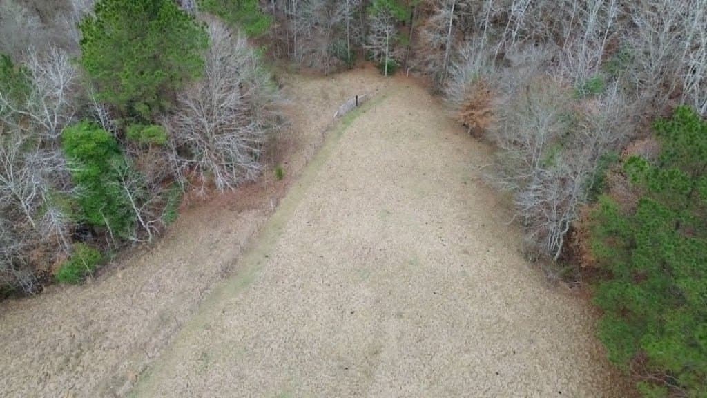 20 acres in Texas County gallery image 3