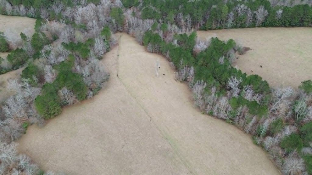 20 acres in Texas County - photo 7
