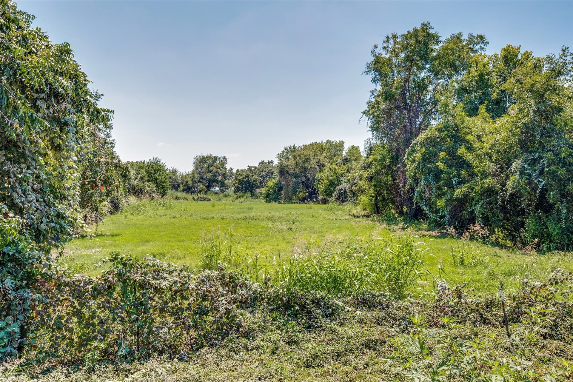 3.7 acres in Dallas County gallery image 2