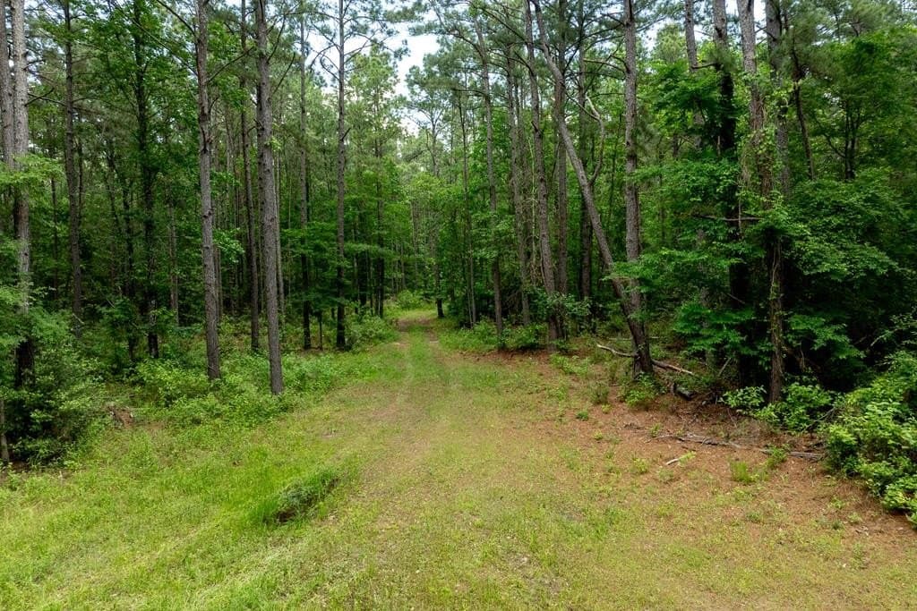 34.82 acres in HOUSTON County