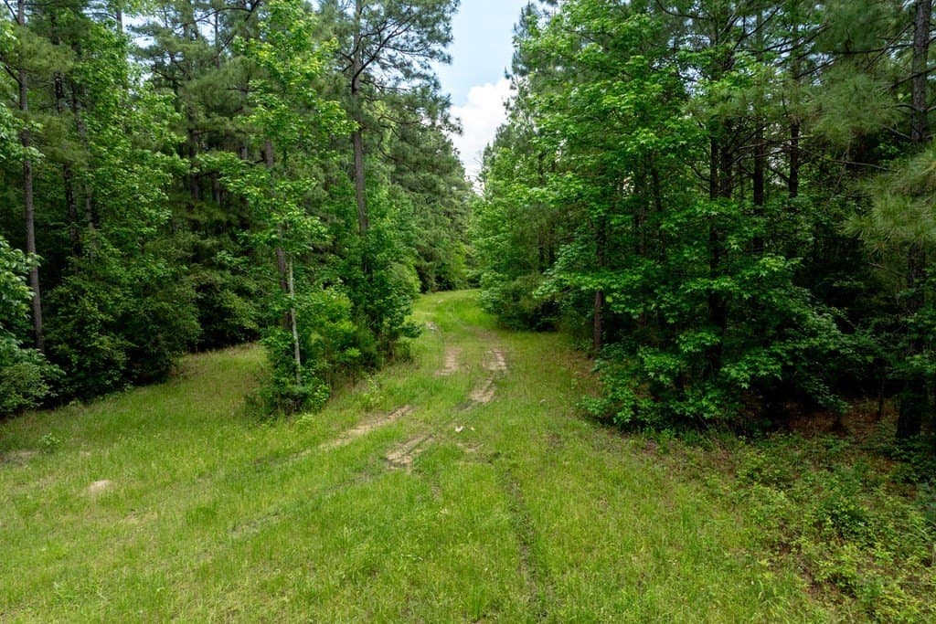 34.82 acres in HOUSTON County gallery image 3