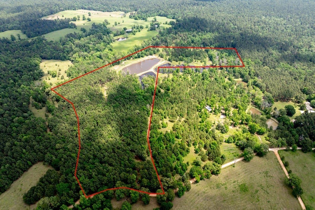 34.82 acres in HOUSTON County gallery image 4