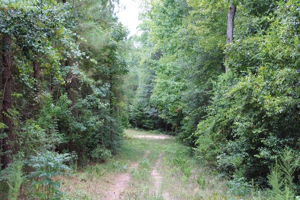 124 acres in Texas County gallery image 3