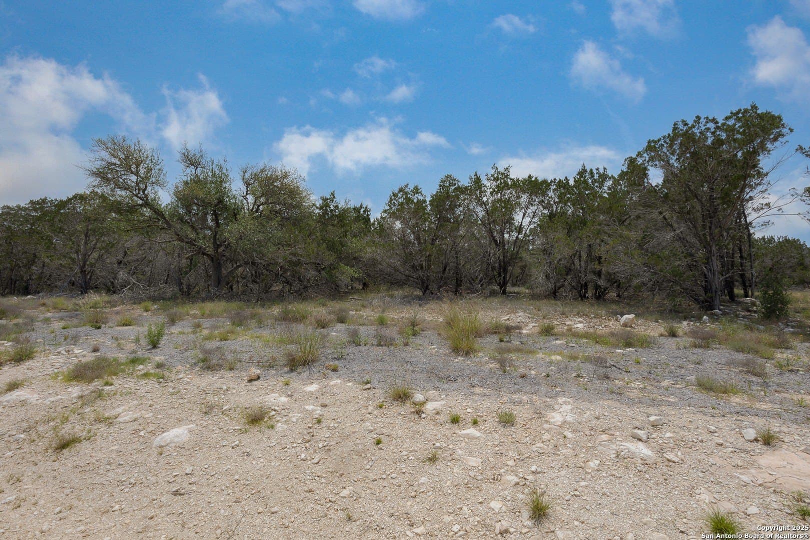 1.1 acres in Comal County gallery image 3