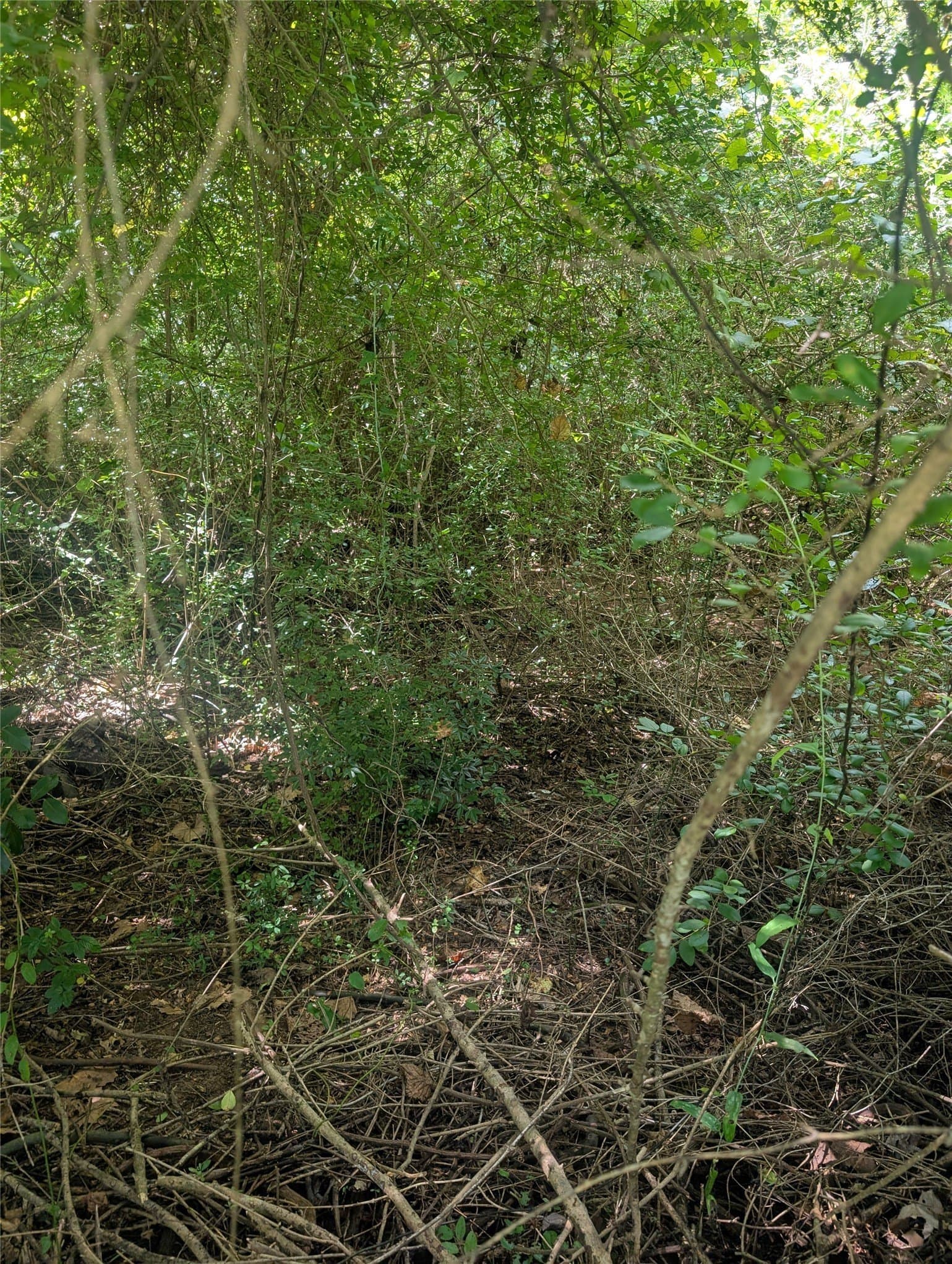 10.91 acres in Wood County - photo 2