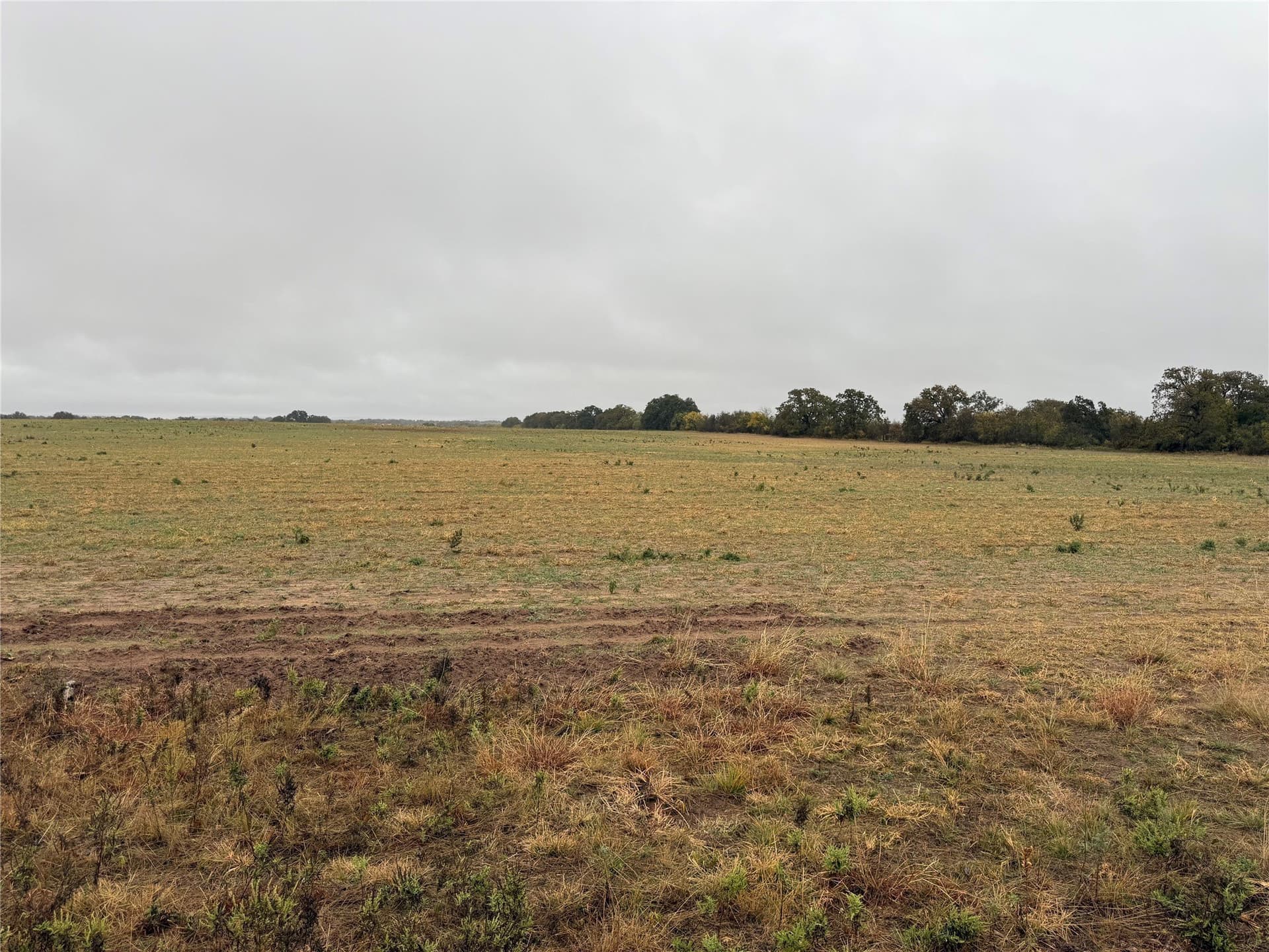 10 acres in Callahan County - photo 4