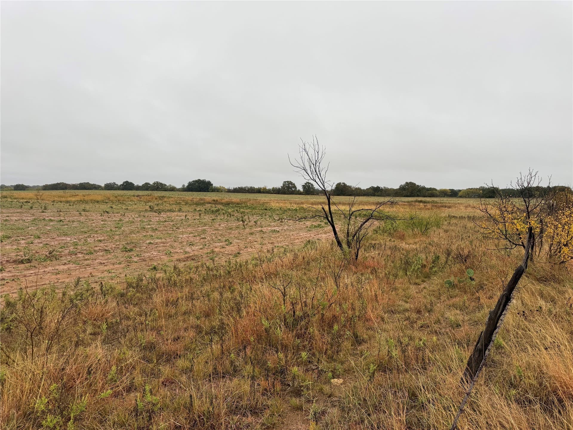 10 acres in Callahan County - photo 7