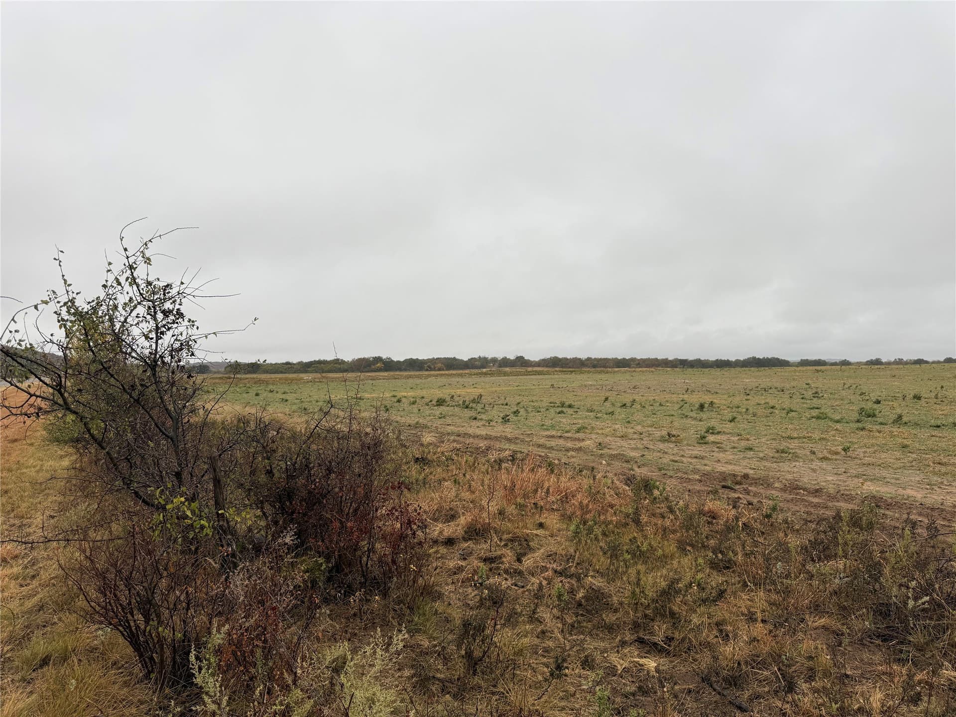 10 acres in Callahan County - photo 8