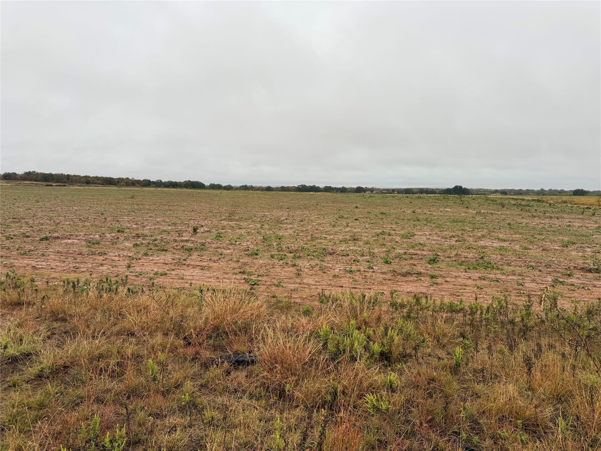 10 acres in Callahan County - photo 6