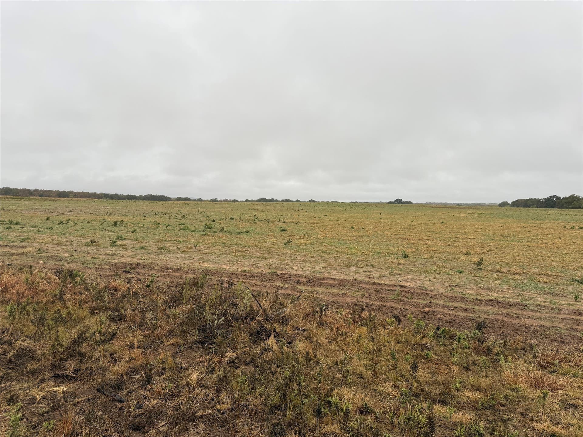 10 acres in Callahan County - photo 3