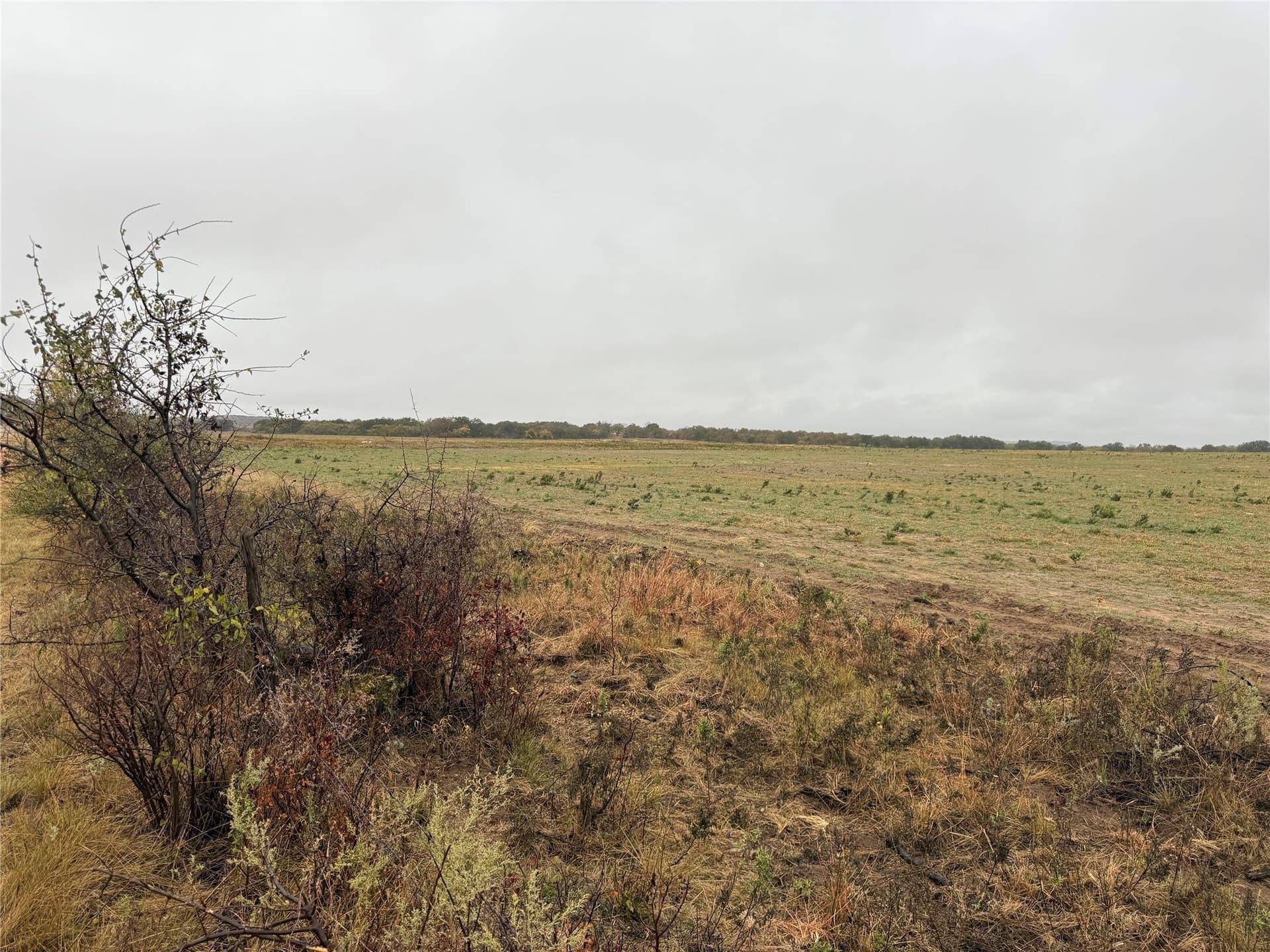 10 acres in Callahan County - photo 2