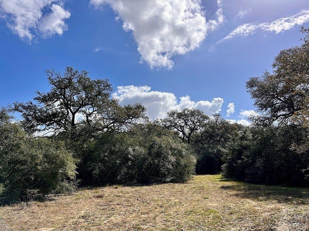 11 acres in Colorado County - photo 12