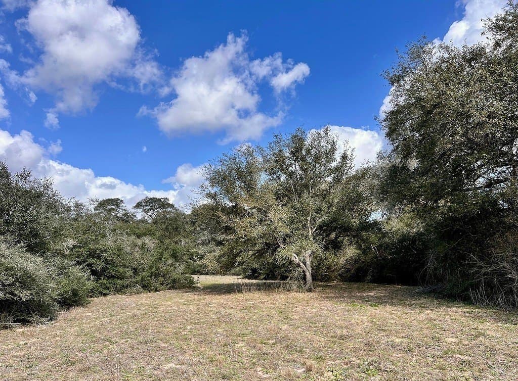 11 acres in Colorado County - photo 10