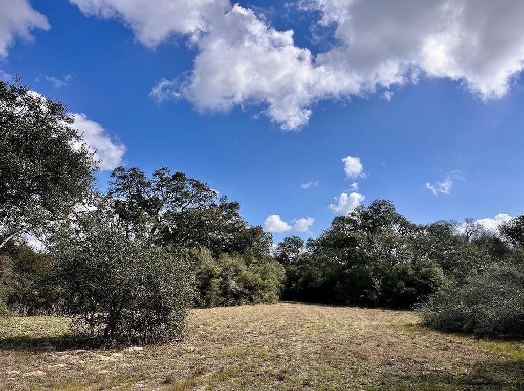 11 acres in Colorado County - photo 11