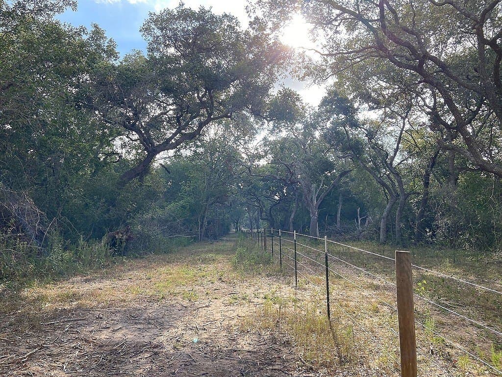 11 acres in Colorado County gallery image 2