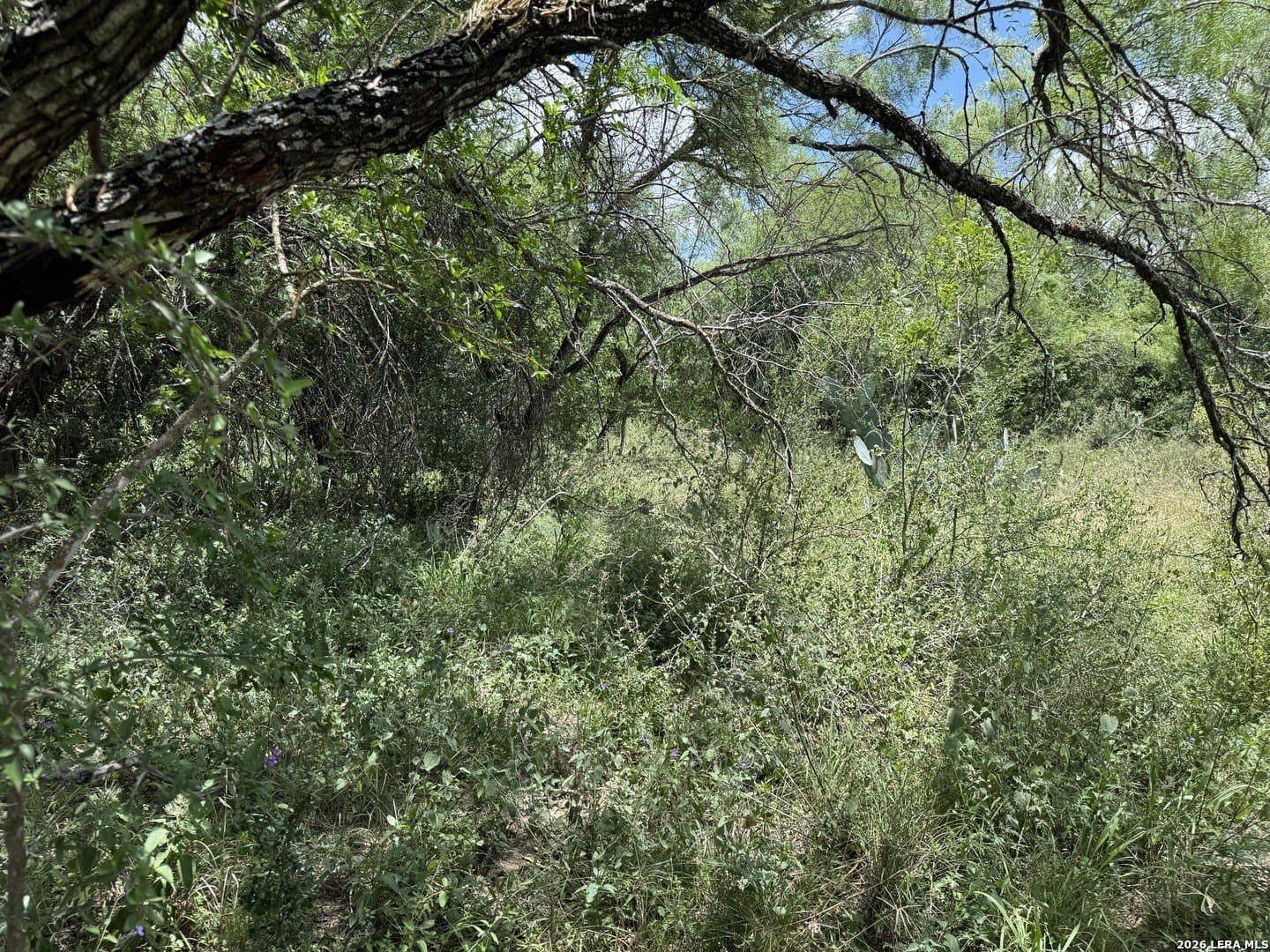 1.12 acres in Uvalde County - photo 10