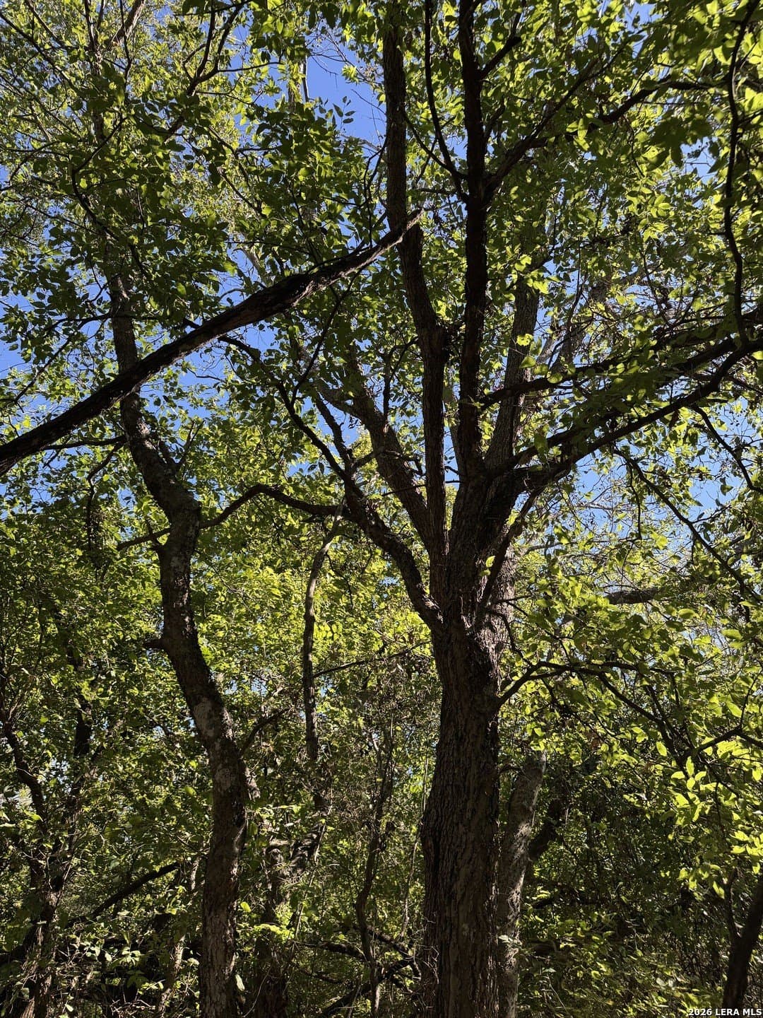 1.12 acres in Uvalde County - photo 8