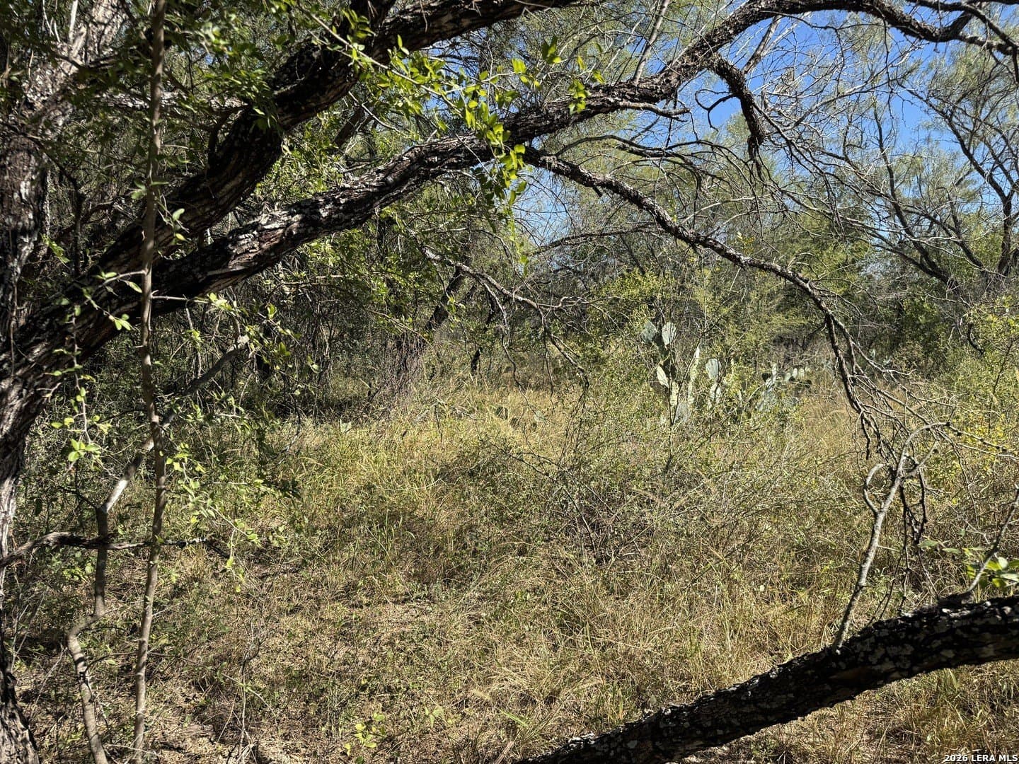 1.12 acres in Uvalde County - photo 6