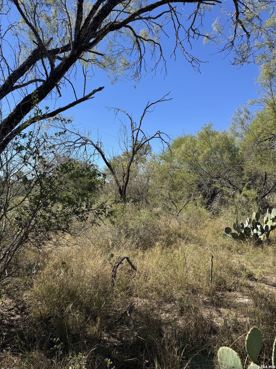 1.12 acres in Uvalde County - photo 11