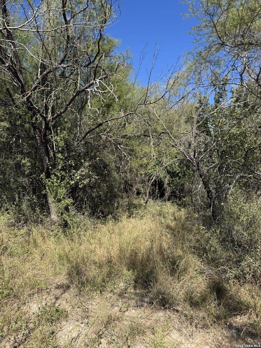 1.12 acres in Uvalde County - photo 12