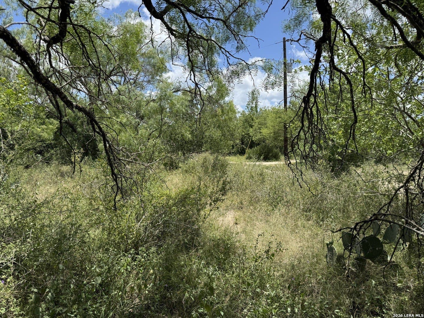 1.12 acres in Uvalde County - photo 7