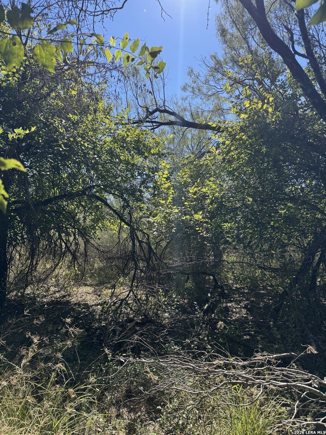 1.12 acres in Uvalde County - photo 14