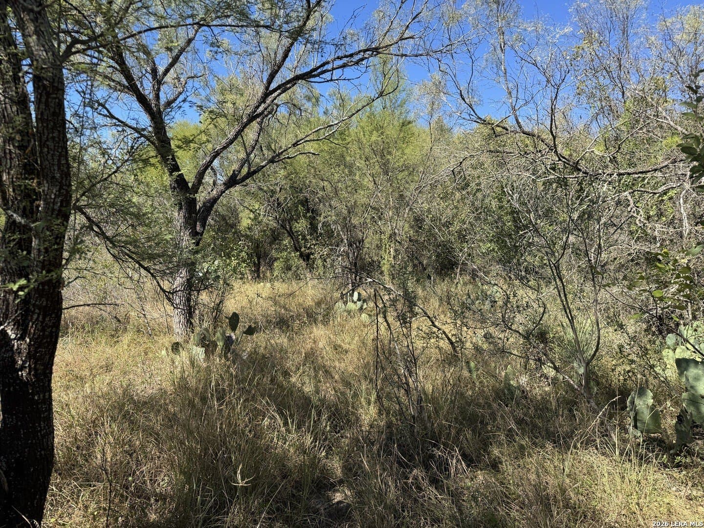 1.12 acres in Uvalde County - photo 9